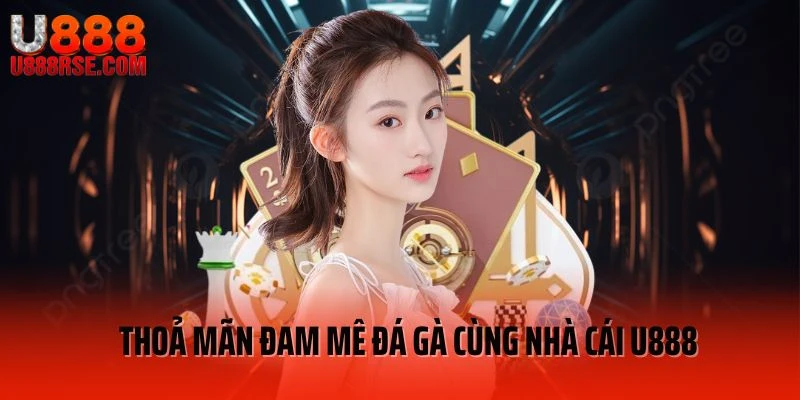 Thoả mãn đam mê đá gà cùng nhà cái U888