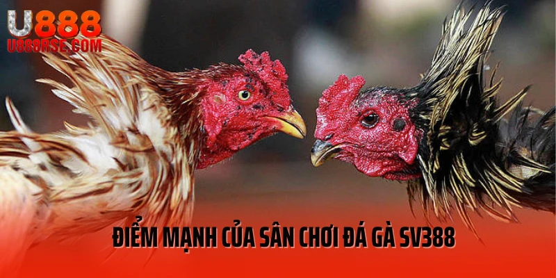 Điểm mạnh của sân chơi đá gà SV388