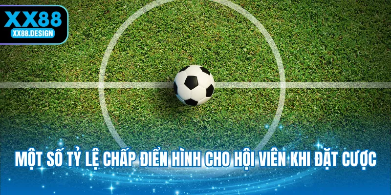 mot-so-ty-le-chap-dien-hinh-cho-hoi-vien-khi-dat-cuoc